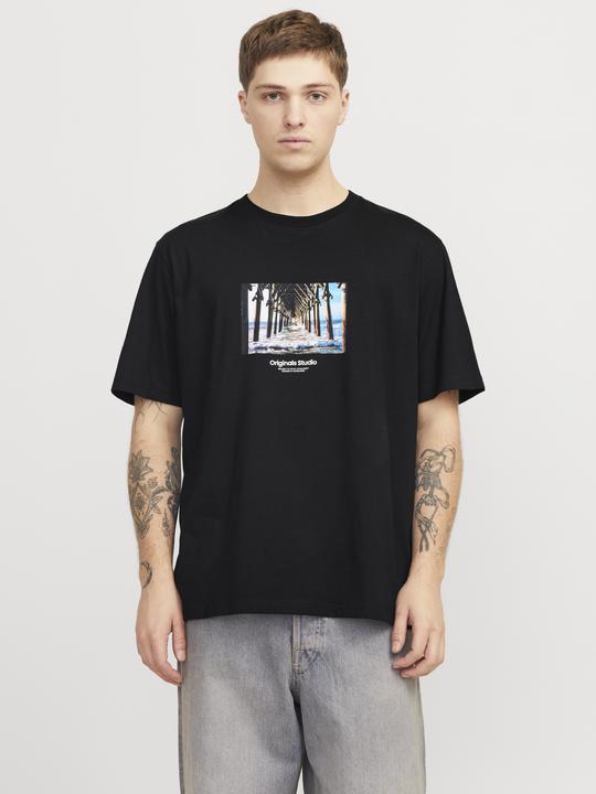 Actual product image Jack & Jones Jorvesterbro Picture Tee Ss Crew Neck Sn (M)