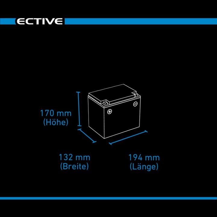 Immagine prodotto Ective Batteria di alimentazione AGM a ciclo profondo 12V 38Ah con display batteria camper (12 V, 38 Ah)