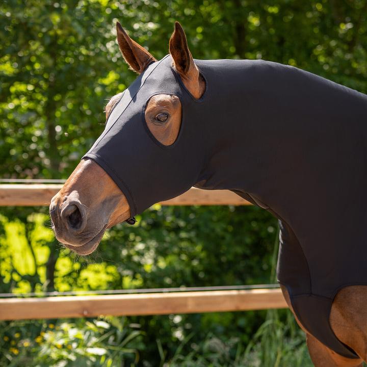 Image du produit Qhp Couvre-cou pour cheval