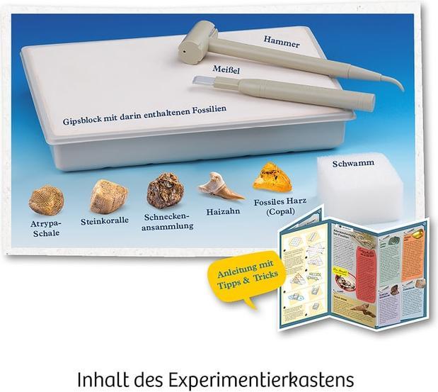 Image du produit Kosmos Fossiles