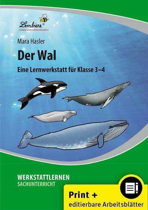Produktbild Der Wal. Grundschule, Sachunterricht, Klasse 3-4 (Deutsch, Mara Hasler, 2024)