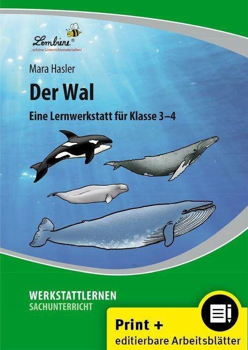 Produktbild Der Wal. Grundschule, Sachunterricht, Klasse 3-4 (Deutsch, Mara Hasler, 2022)