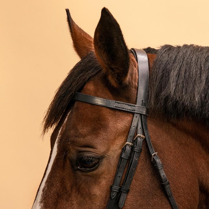 Actual product image Fouganza Snaffle Schooling Leather