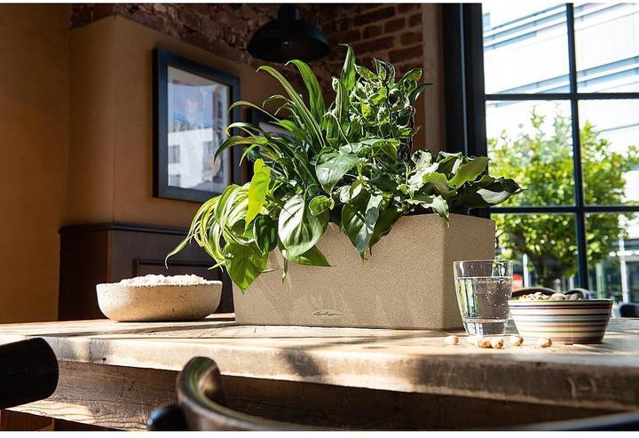 Produktbild Lechuza Balconera Stone (50 x 19 x 19 cm)