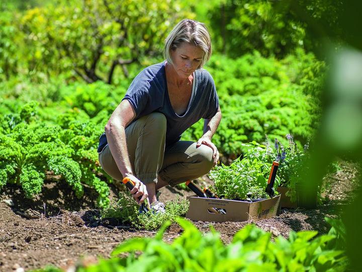 Productafbeelding Fiskars Bloemlepel 137200