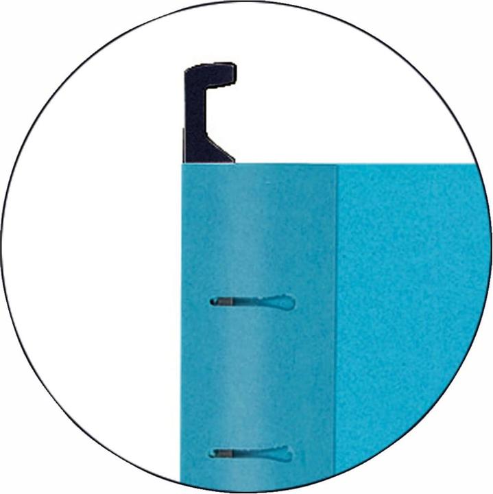 Actual product image Esselte Pendaflex suspension file cardboard (A4, 25 x)