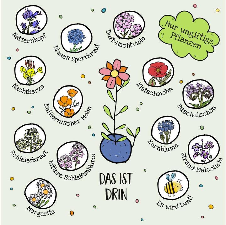 Produktbild Die Stadtgärtner Blumenmurmeln (Blumensamen, Samenbomben)