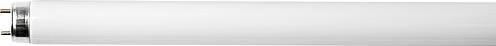 Immagine prodotto Osram Lampada fluorescente (G13, 18 W, 1350 lm, 1 x, G)