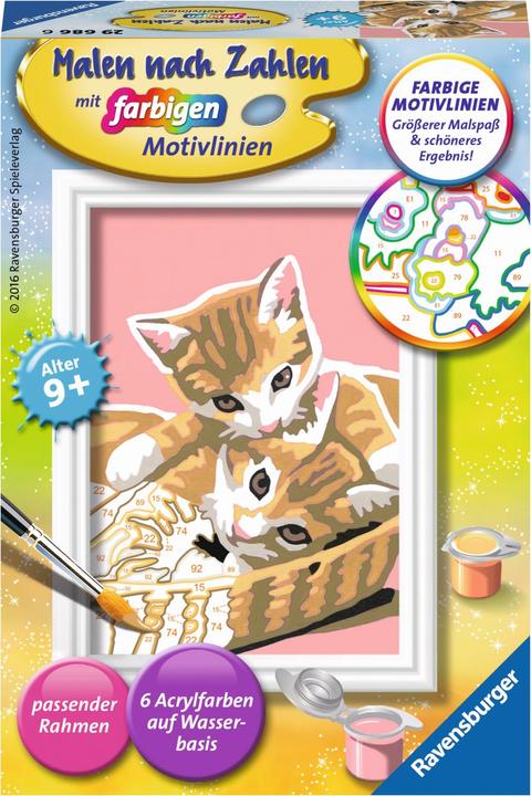 Ravensburger Katzenbabys