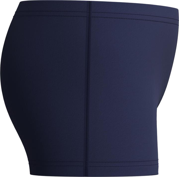 Image du produit Speedo Medley Logo Jammer (128)