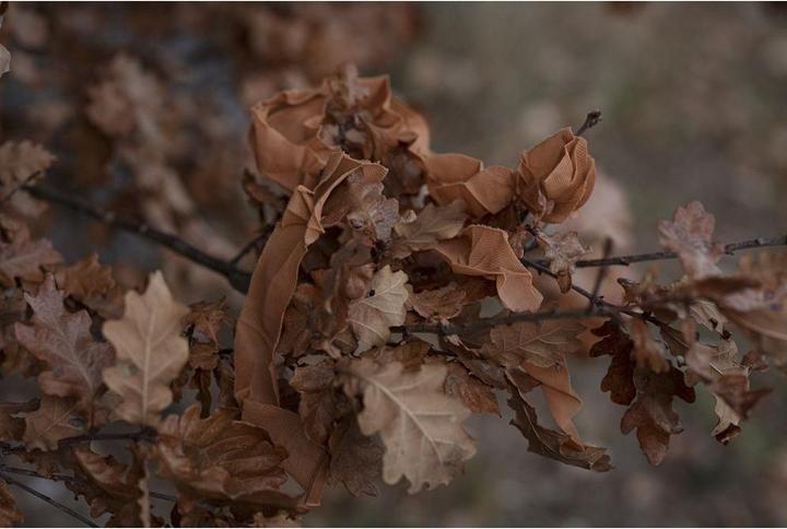 Image du produit Ghosthood Strip-Solid - orange automne