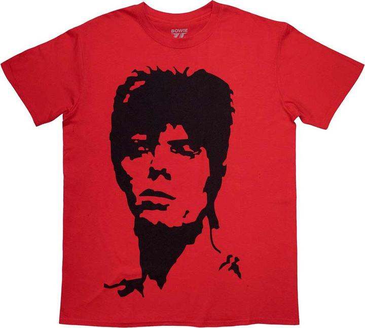 David Bowie 1973 Monochrome