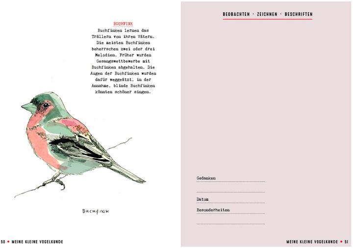 Produktbild Meine kleine Vogelkunde (Deutsch, Gerard Janssen, 2018)