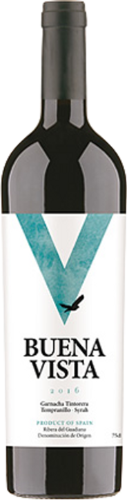 Produktbild Pago los Balancines Buena Vista Ribera del Guadiana DO (1 x 75 cl, 2019)