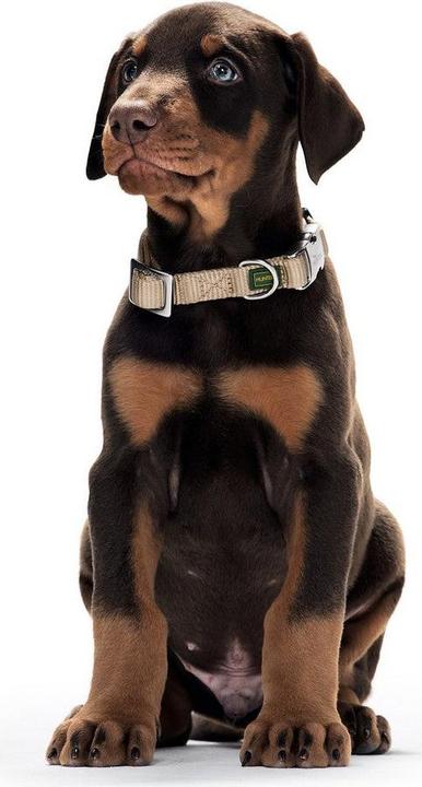 Actual product image Hunter Collar Vario Basic Alu-Strong (M)