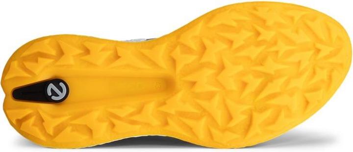 Produktbild Ecco Biom H5 Golfschuh Herren (41)
