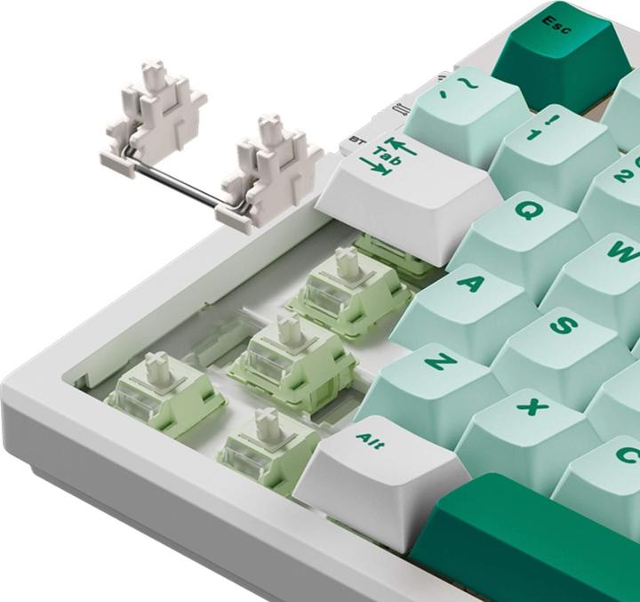 Actual product image Mchose G75 Pro (US, Cable, Wireless)