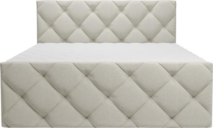 Immagine prodotto Livetastic Pedro (180 x 200 cm)