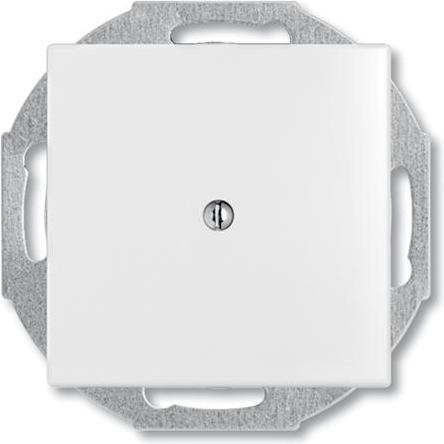Image du produit ABB basic55 Couvercle cache trou, blanc brillant, 1 module