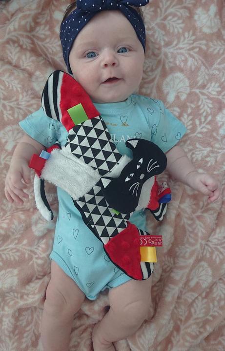 Actual product image Hencz Toys Die Katze ist süss