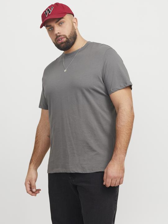Actual product image Jack & Jones Jjebradley Tee Ss Noos Pls (XXL)