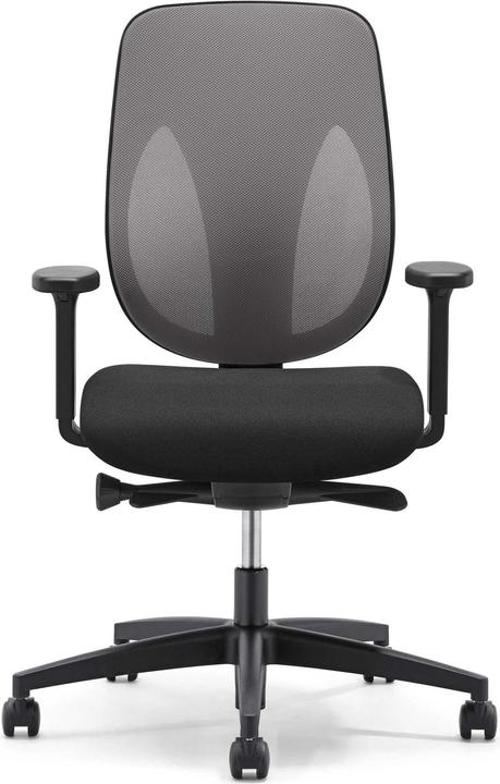 Produktbild Giroflex 353 Netzrücken