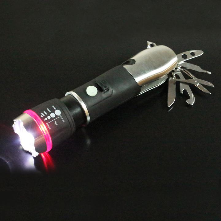 Actual product image Panta Safe Guard (800 lm)