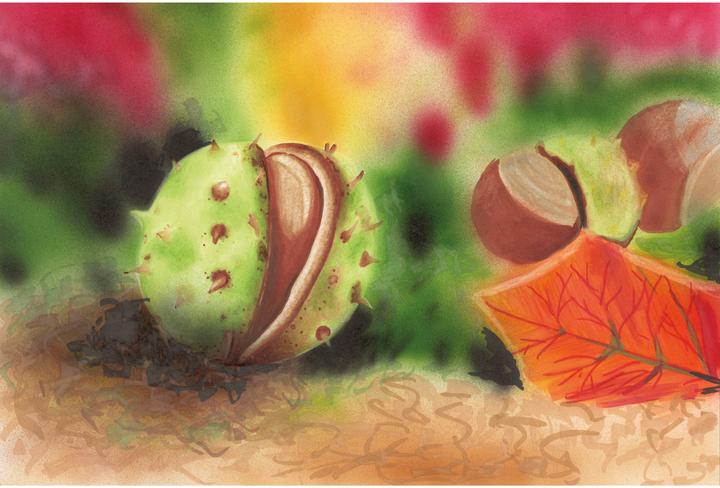 Produktbild Copic Herbstfarben (12x)