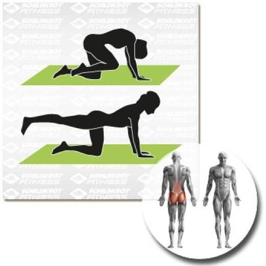 Actual product image Schildkröt Fitness mat (15 mm)