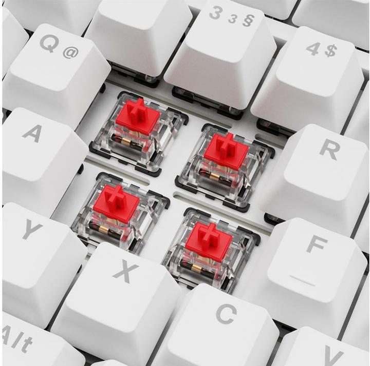 Actual product image Sharkoon SGK25 white (DE, Cable)