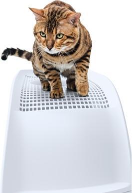Productafbeelding IMAC Kattenbak Frida Met Lade Lichtblauw - 56X40X43,5 cm