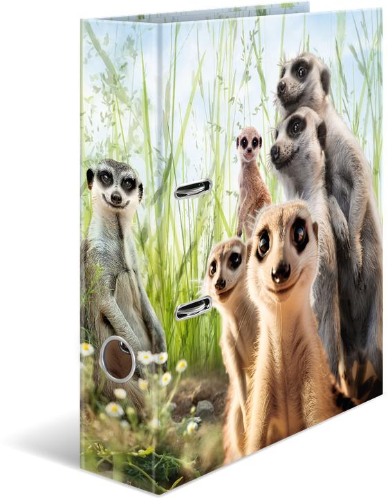 HERMA Suricate (A4, 70 mm, 1 pièce(s))