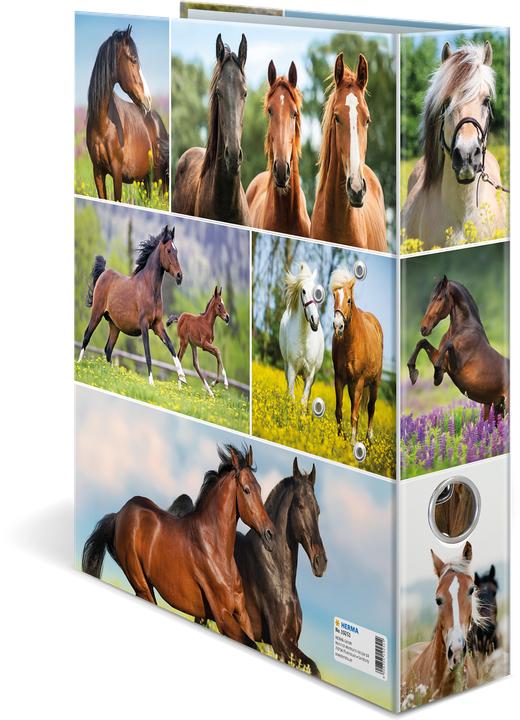 Produktbild HERMA Ordner A4 Motiv (A4, 70 mm, 1 Stk.)