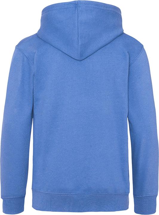 Image du produit Awdis Pull à capuche (158)
