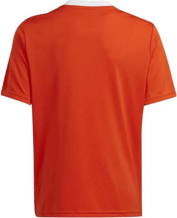 Produktbild Adidas Team Icon 23 TShirt (128)