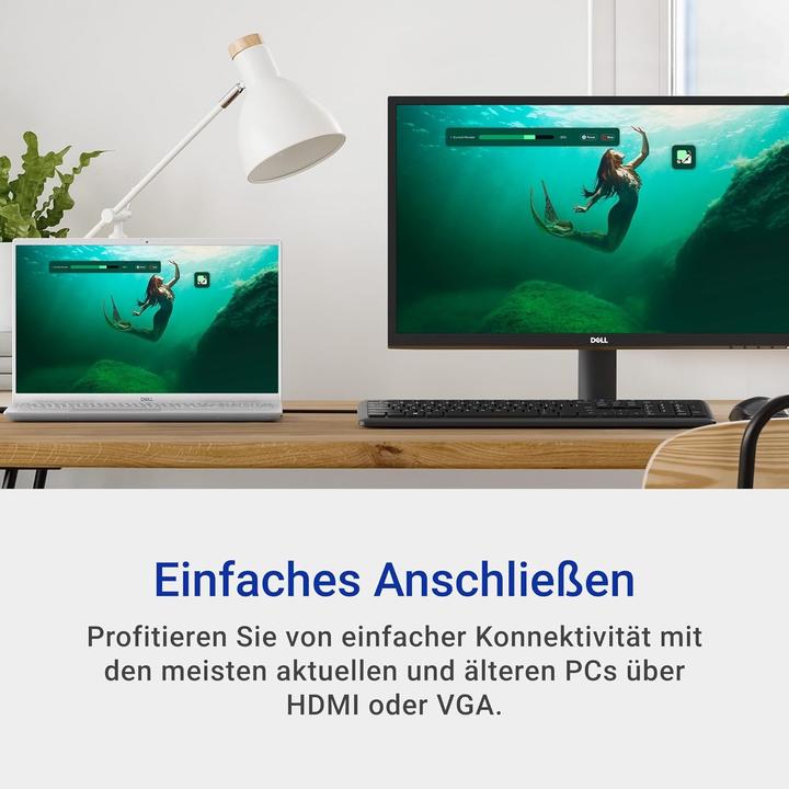 Productafbeelding Dell SE2425H (1920 x 1080 Pixels, 23.80")