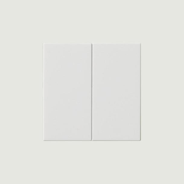 Actual product image Gira Rocker 2f unprinted System 55 pure white 537003