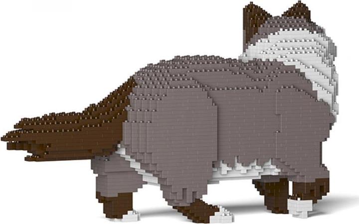 Image du produit Jekca Limited Ragdoll Cat