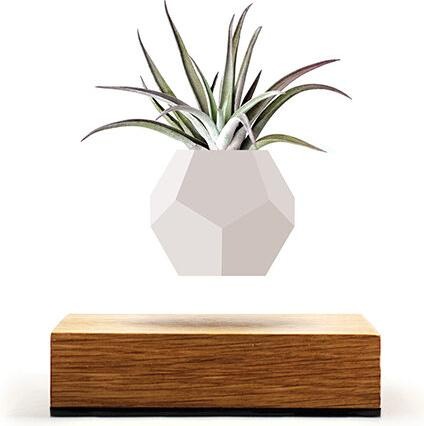 Actual product image Flyte LYFE Planter (154 cm)