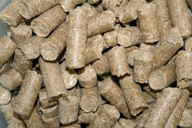 Actual product image Kerbl Delizia Classics Raspberry - Horse snacks - 1 kg (1000 g)