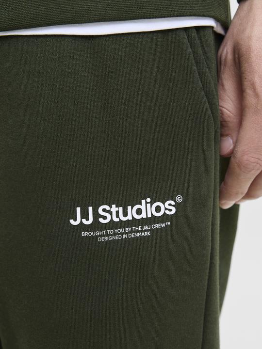 Actual product image Jack & Jones Regular Fit Relaxed Fit Hosen Relaxed Fit Hosen (XXL)