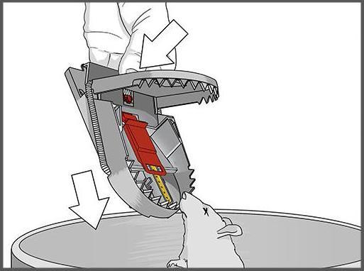 Actual product image Super Cat Rattenfalle PRO SuperCat 1er