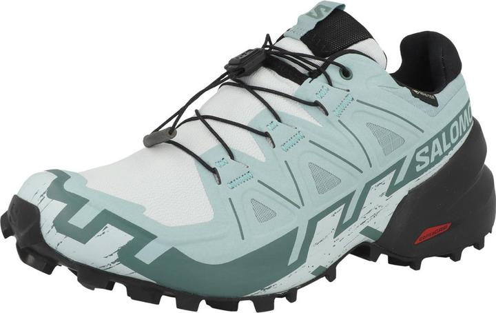Actual product image Salomon Speedcross 6 GTX - 68435 (43 1/3)
