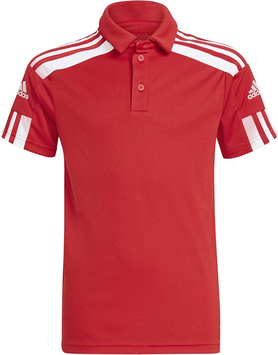 adidas Squadra 21 Polo Bambini (176)