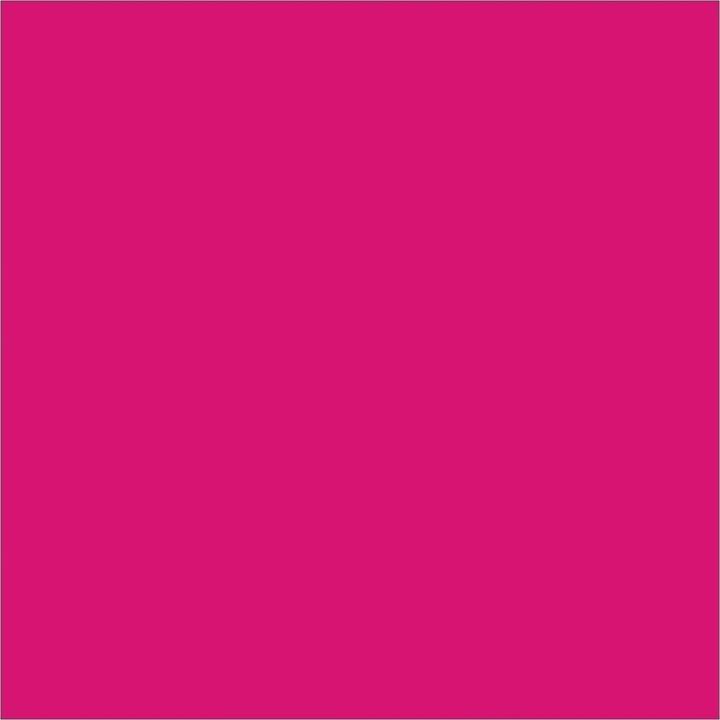 Immagine prodotto Epson T580a (M)