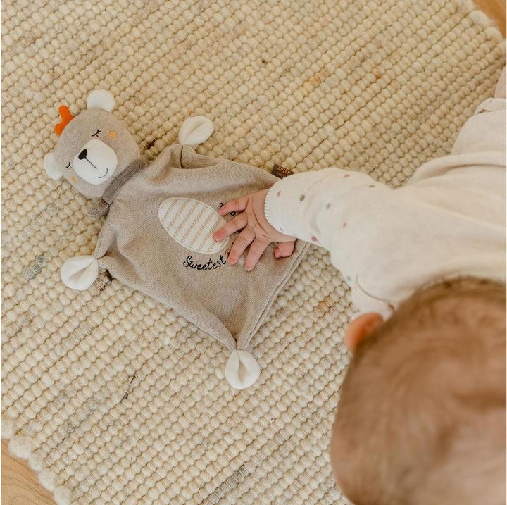 Produktbild Fehn Schmusetuch Teddy Baby