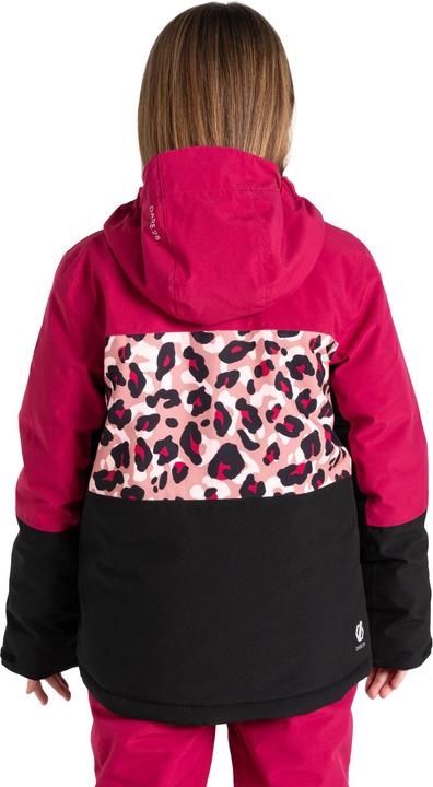 Image du produit Dare2b Veste de ski Traverse II (158)