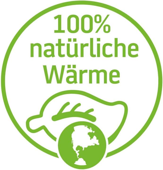 Produktbild Heatpaxx Handwärmer
