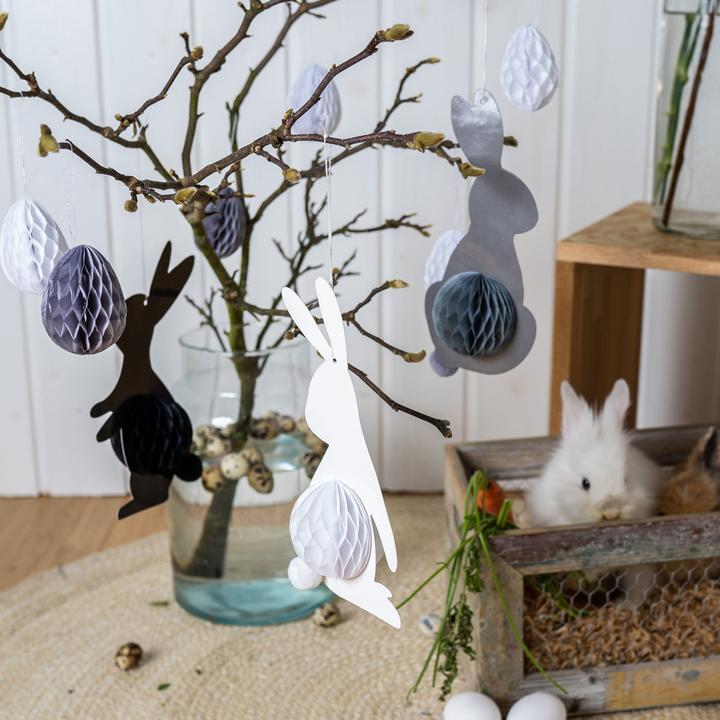 Immagine prodotto Papierdrachen 3 coniglietti di Pasqua con carta velina (3 x, 12 x 23 cm)