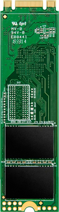 Actual product image Transcend 830S (4000 GB, M.2 2280)